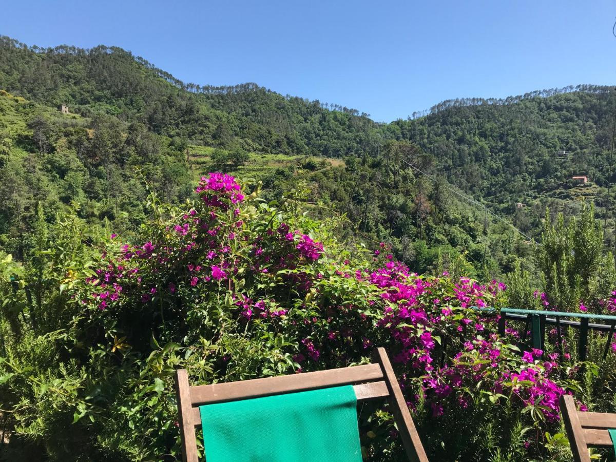 Cottage La Terrazza Леванто Екстер'єр фото
