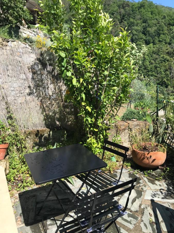 Cottage La Terrazza Леванто Екстер'єр фото